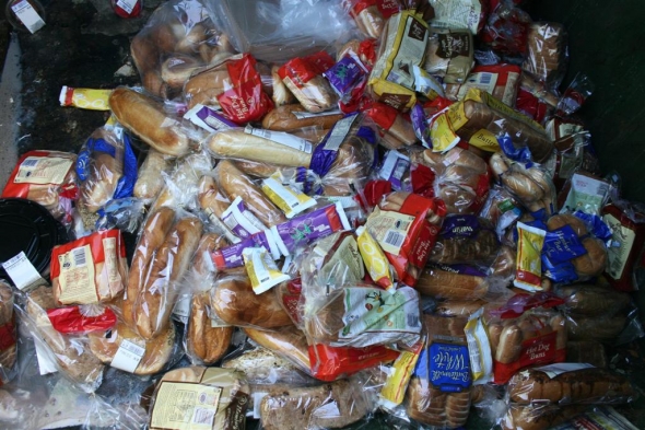 Rescued food