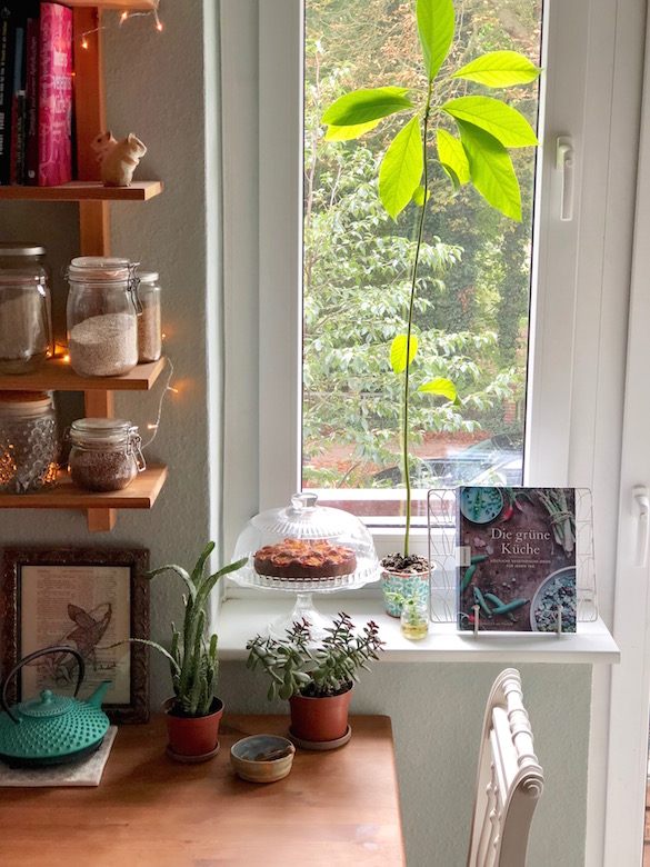 Cozy kitchen