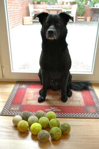 Back in July this was the beginning of his ball collection