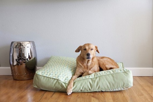 A comfy and stylish dogbed