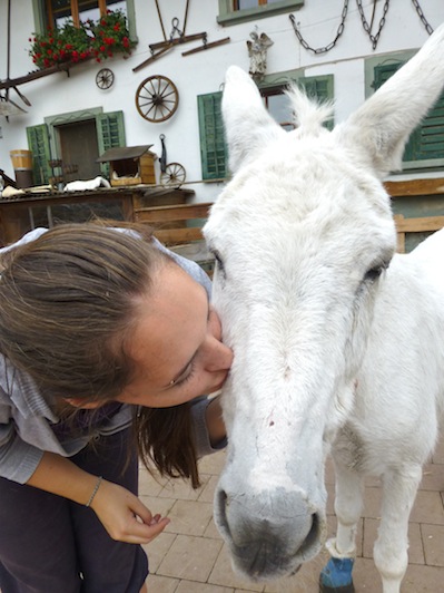 ... and kissed a donkey