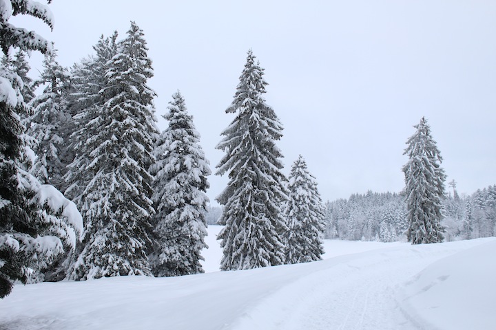 Winter Wanderung Zuger Berg