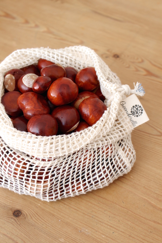 horse chestnuts zero waste