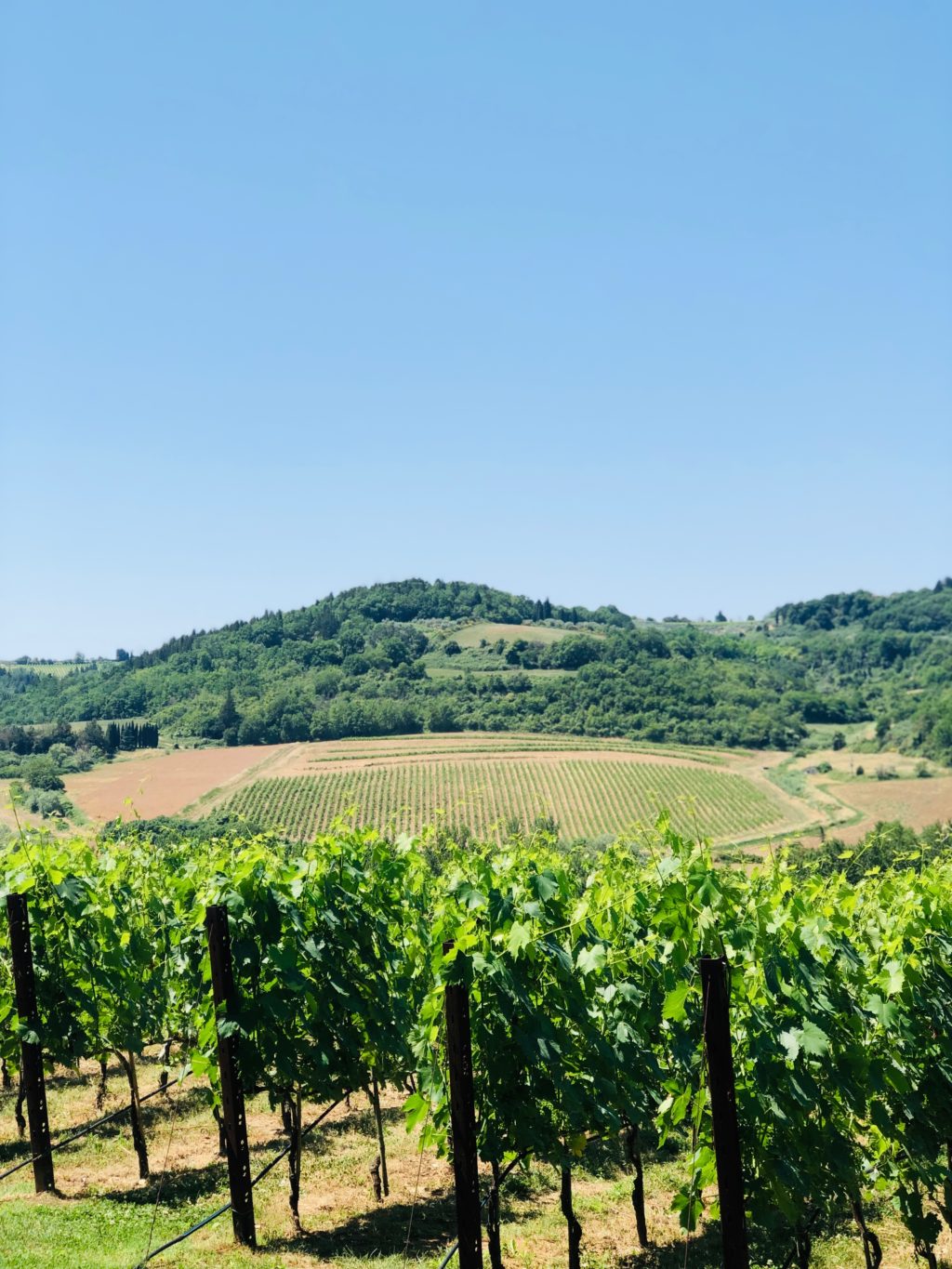 antinori winery