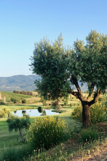 beautiful tuscany picture