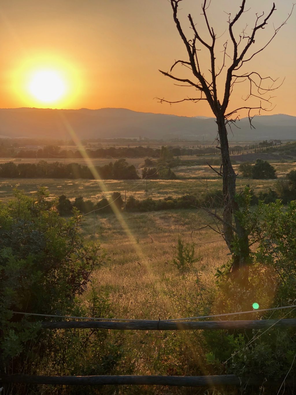 under the tuscan sun