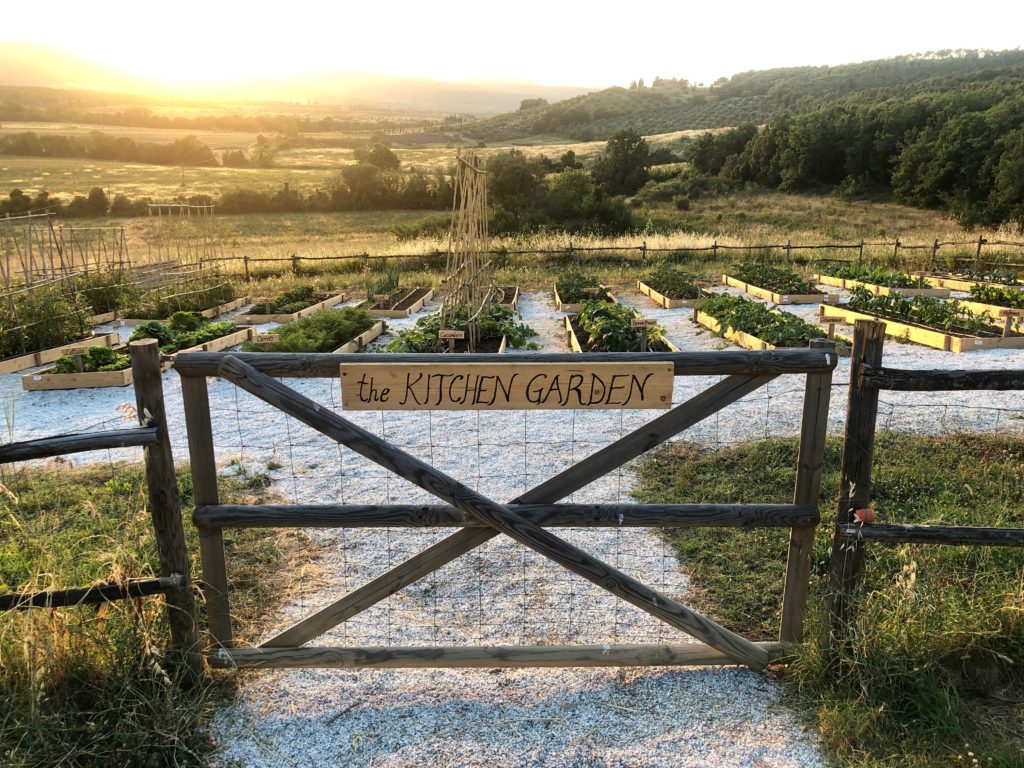 ORGANIC vegetable GARDEN tuscany